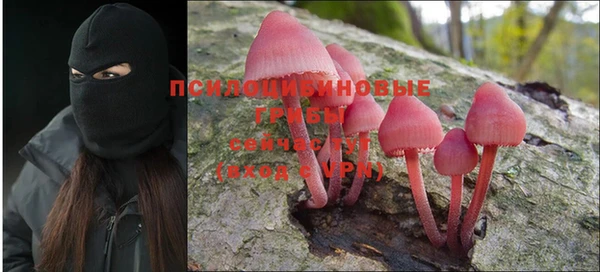 каннабис Лабытнанги