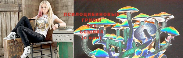 каннабис Лабытнанги