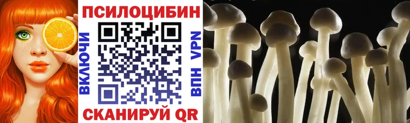 Псилоцибиновые грибы Magic Shrooms  закладки  Каспийск 